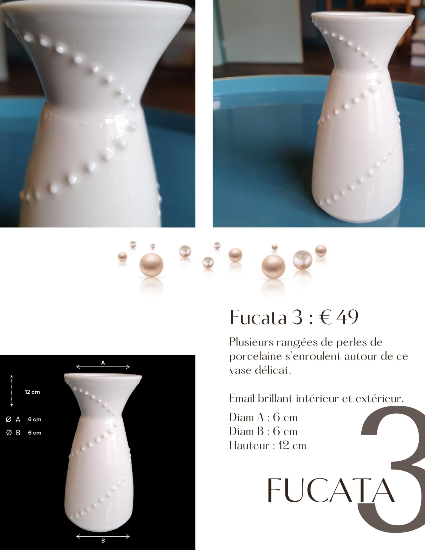 Fucata3